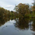 In the autumn park
